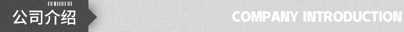 公司介绍