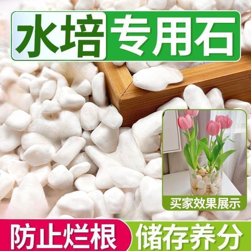 瑞景石水栽培花、小さな白い石、多肉植物舗装石、小石、雨花石、水槽造園鉢植え工場|undefined