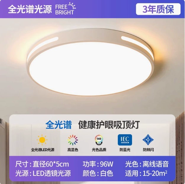 LED rectangular ceiling light, lights for living room for corridor for gazebo
