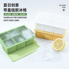 新しい6穴の大きい四角の氷の格の家庭の手作りのDIYの氷の鋳型は蓋を持って味の食品級のシリカゲルの氷の格を詰めません。