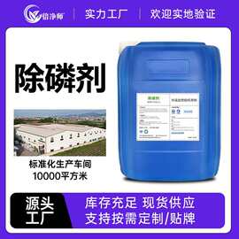 除磷剂 工业生活污水总磷超标治理固体液体快速高效除磷厂家现货