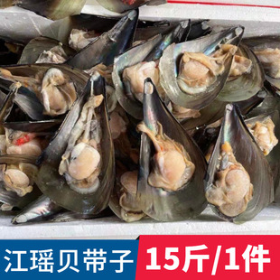 ��������뚤���ӾGؐ��ؐ�뚤����ؐ������r�����͟���ʳ������