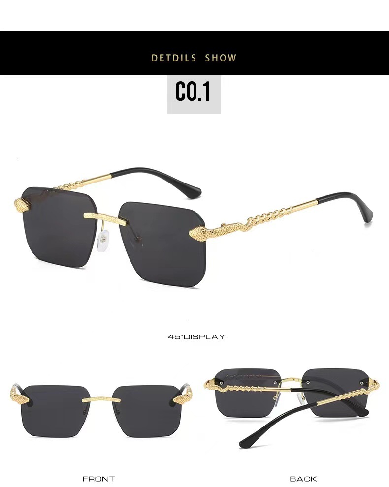 Fashion Square Snake Metal Sunglasses For Women Minimalist Style_voghion.com