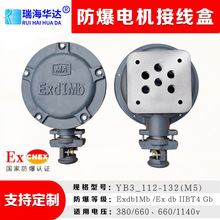 YBX3  YBX4úV÷늙CӾ ʽȿ