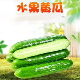 桃子;哈密瓜;瓜果类