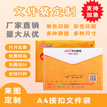 学生资料档案袋定做广告pp塑料卡通按扣透明a4文件袋定制logo批发