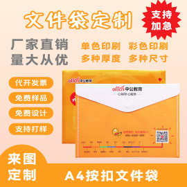 学生资料档案袋定做广告pp塑料卡通按扣透明a4文件袋定制logo批发