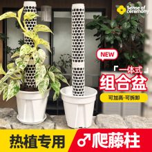 ����֧�ΗU�����֬�M���������ֲ�����G�}����ֲ��������ˮ̦��