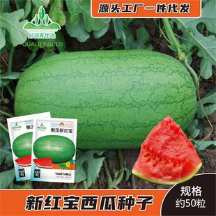 �¼t�����ϷN�ӾGƤ�tȿ����E�A�����Ѵ��ļ�ˮ���N�Ѽt�ķN�ݷN