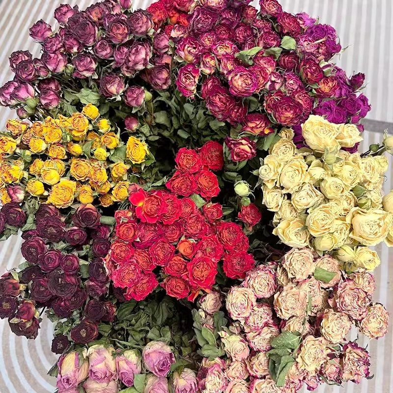 abea0c5d-ff2e-4d8d-8cd0-410a1977106a.jpe