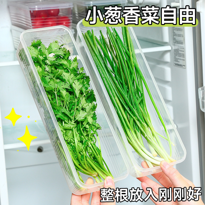 2つのネギとショウガのニンニクの小さいネギのヌードルの収納箱の長い四角な麺の新鮮な箱の食品級の密封のプラスチックの箱|undefined