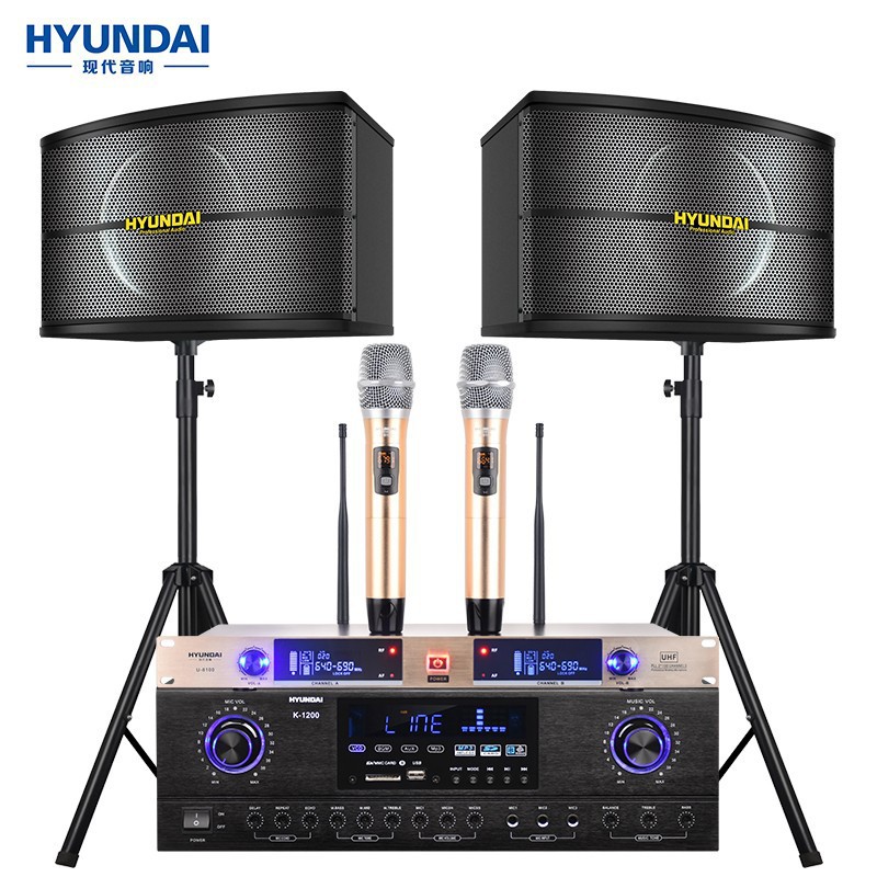 Modern KTV Home Theater Audio Combination Bracket suit Bluetooth Amplifier Professional Conference Karaoke Singer