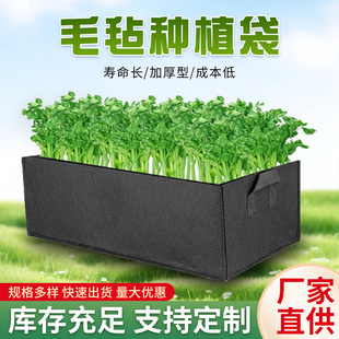 �o�����Nֲ���Ӻ���ֲ��ֲ����I�B����ֲ�����������ë�ַNֲ��