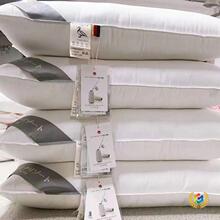 ?Դ�^���S��z�q����о��q�����^�Ƶ���q���YƷ���^о