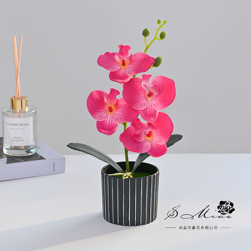 Orquídea Phalaenopsis Artificial en Bonsái, Suministrada Directamente por el Fabricante, Plantas Artificiales Creativas para Decoración de Interiores, Flores Artificiales, Plantas en Maceta Simuladas
