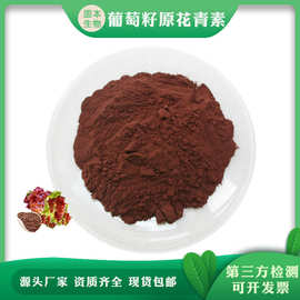 葡萄籽原花青素95% 葡萄籽提取物 水溶 OPC原花青素 厂家1KG包邮