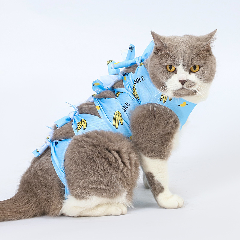 猫の不妊手術服、雌猫の離乳服、ペットの術後舐め防止服、雄猫の手術用ストラップ服、通気性のある離乳服|undefined