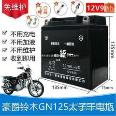 豪爵铃木GN太子HJ125-8男士摩托车免维护蓄电池12V9A干电瓶遂潘