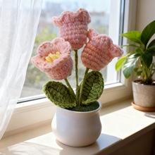 �羳�ֹ��h����m���P�Գ�Ʒᘿ����滨�[��ë���h�������������l