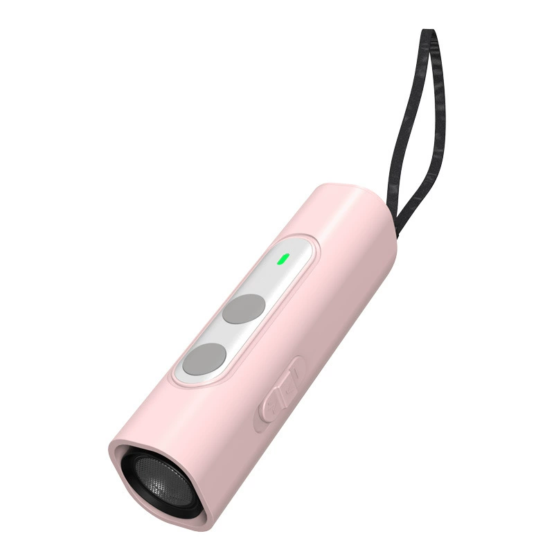 Flashlight, 2023 collection, Amazon