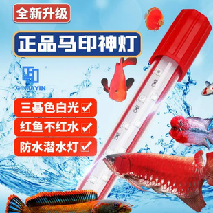 God lamp PLUS tricolor red dragon fish lamp parrot fish brightening lamp waterproof D thunder dragon fish tank lamp China