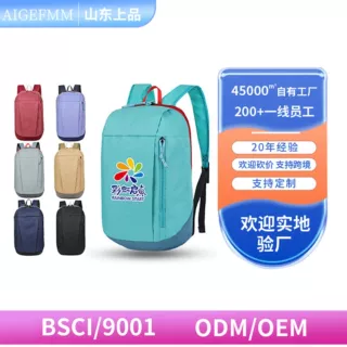 工厂直销迪卡农背包户外运动轻便休闲辅导班礼品定制可印字双肩包