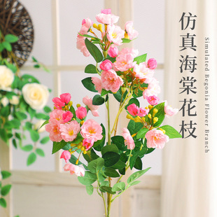 ���溣�Ļ��ٽ����߷��滨�҃ȿ͏d��ػ��ҾӔ[�O�Ƶ��̈��b�