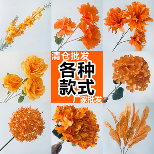 ���Sɫϵ��c���滨�ų�ɫ���ٻ��Ľ�ɫ��Y���õ���b�ˇ���}