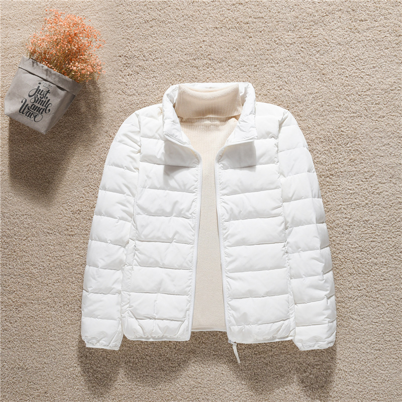 화이트 스탠드 칼라