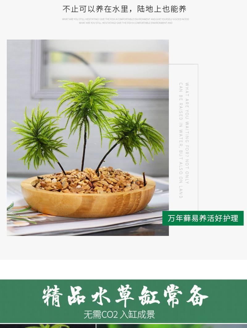 dc551988-839b-42e5-8c40-c86a673ba3b2.jpe