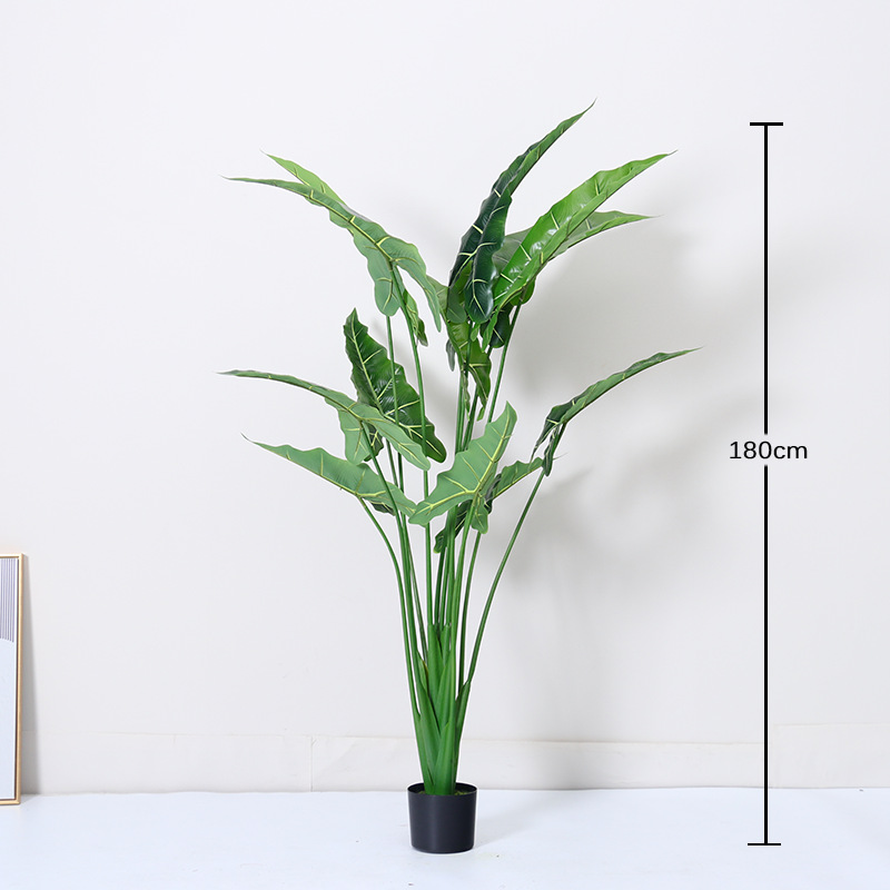 Simulación de estilo nórdico Alocasia, plantas verdes, plantas en macetas, ventanas de interior, decoración de piso a techo, paisajismo, plantas biónicas de Alocasia salis