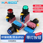 和泉YW1L-MF2E/MA2E同款 带灯保护型防水复位高头一常开开关22MM