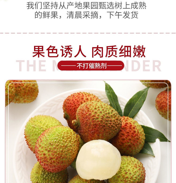 951373a6-bf81-4f2f-a658-667e2a18c8c8.jpe