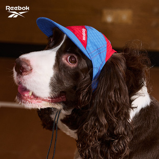 Pet Dog Hat Small, Medium and Large Dog Sun Protection Baseball Cap Corgi Border Collie Golden Retriever Sun Hat