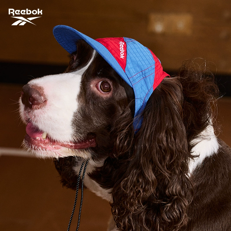 Шляпа для домашних животных, маленькая, средняя и большая защитная бейсболка для собак, солнцезащитная шляпа корги, бордер-колли, золотистый ретривер