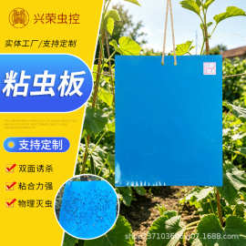 货源供应粘虫板 双面诱虫板黄板蓝板大棚专用粘虫板 园林捕虫贴