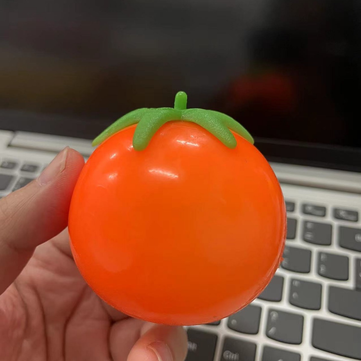 유동 토마토(무료 PVC 가방)