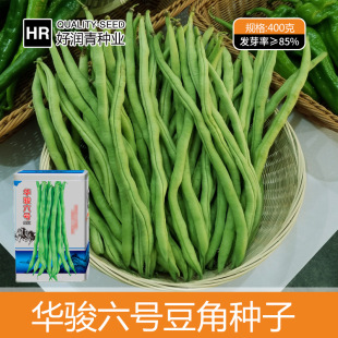 �o��ܶ��N�Ӽt��̩���ܶ����N�Ѵ��＾�o�z��ܿ���ļ������Ѳ˷N