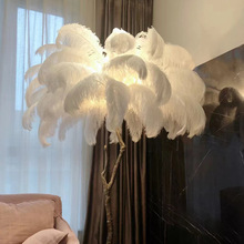卧室羽毛鴕鳥落地燈 北歐法式輕奢裝飾床頭立式台燈羽毛燈