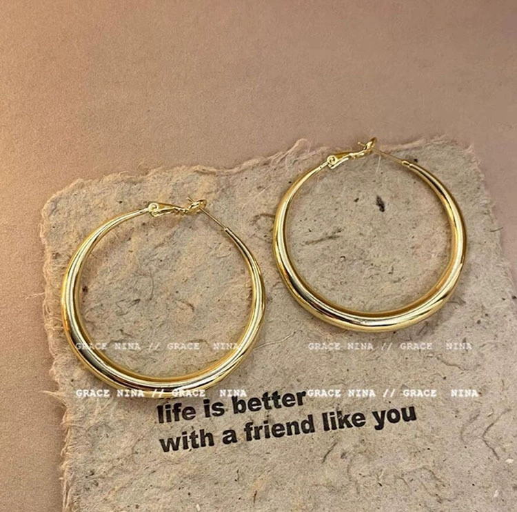 Silver 925 Earrings — Light Luxury Hoops & Drops, High-Quality Sterling, Multiple Sizes