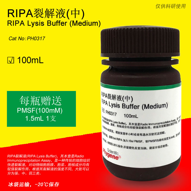 RIPA裂解液 (中) RIPA Lysis Buffer [PH0317 PHYGENE]