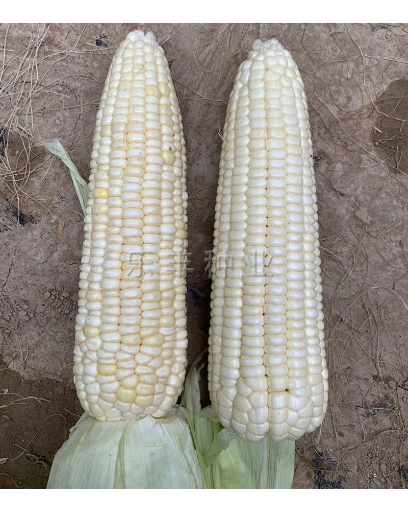 c3891fb5-75f2-4ef9-b8be-722c8d