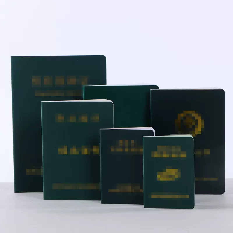 证书音乐等级考试结业颁奖证书歌剧聘书三折页荣誉毕业证书奖状