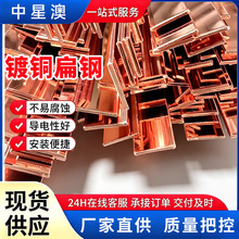 镀铜扁钢防雷镀铜水平接地极铜包钢扁铁盘圆接地排镀铜铜覆钢扁钢
