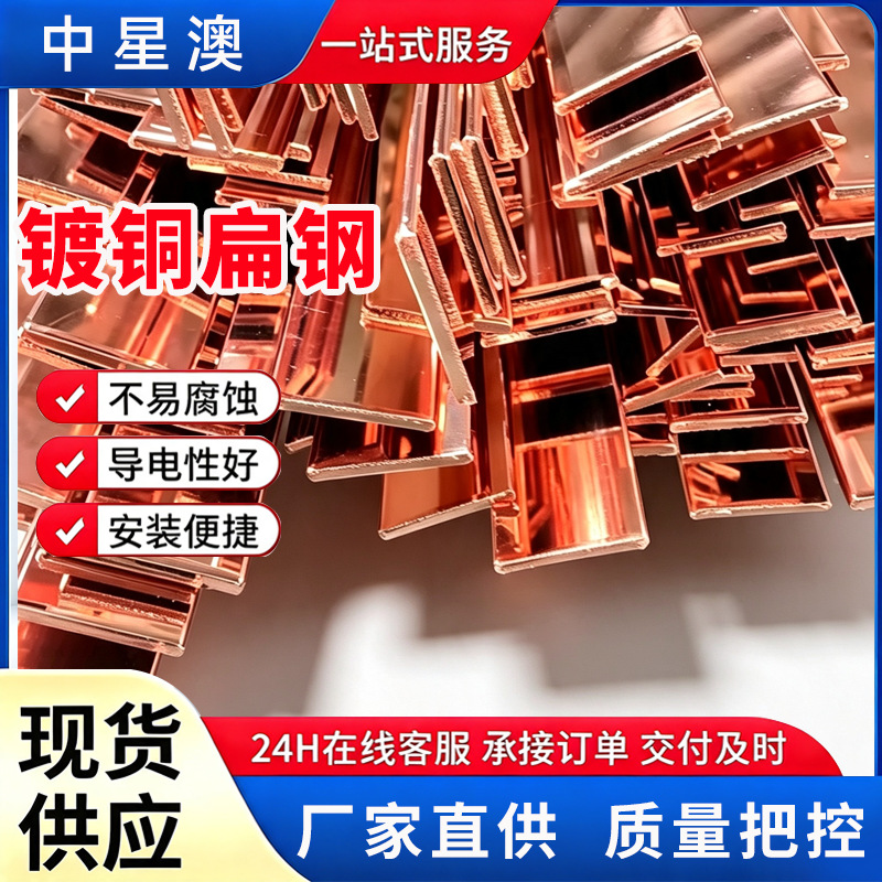镀铜扁钢防雷镀铜水平接地极铜包钢扁铁盘圆接地排镀铜铜覆钢扁钢