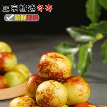 �Fժ��������5�������r�Fժ����ˮ���r��ԭ�a��ֱ�l�����������