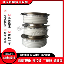 �ɿع辧�l��5STP03X6500 5STP04D4200 5STP45N2800