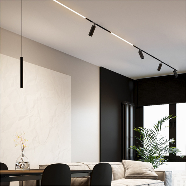Spot lighting railed