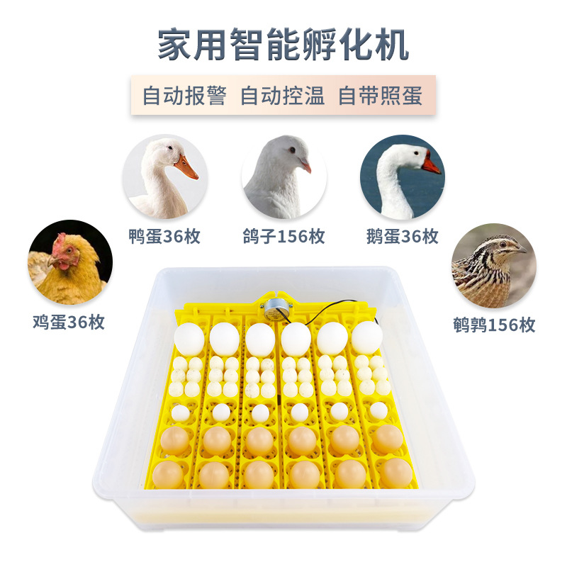 36 unidades inteligente incubadora de temperatura constante pollo pato codorniz pájaro huevo pequeño hogar incubadora mini incubadora automática
