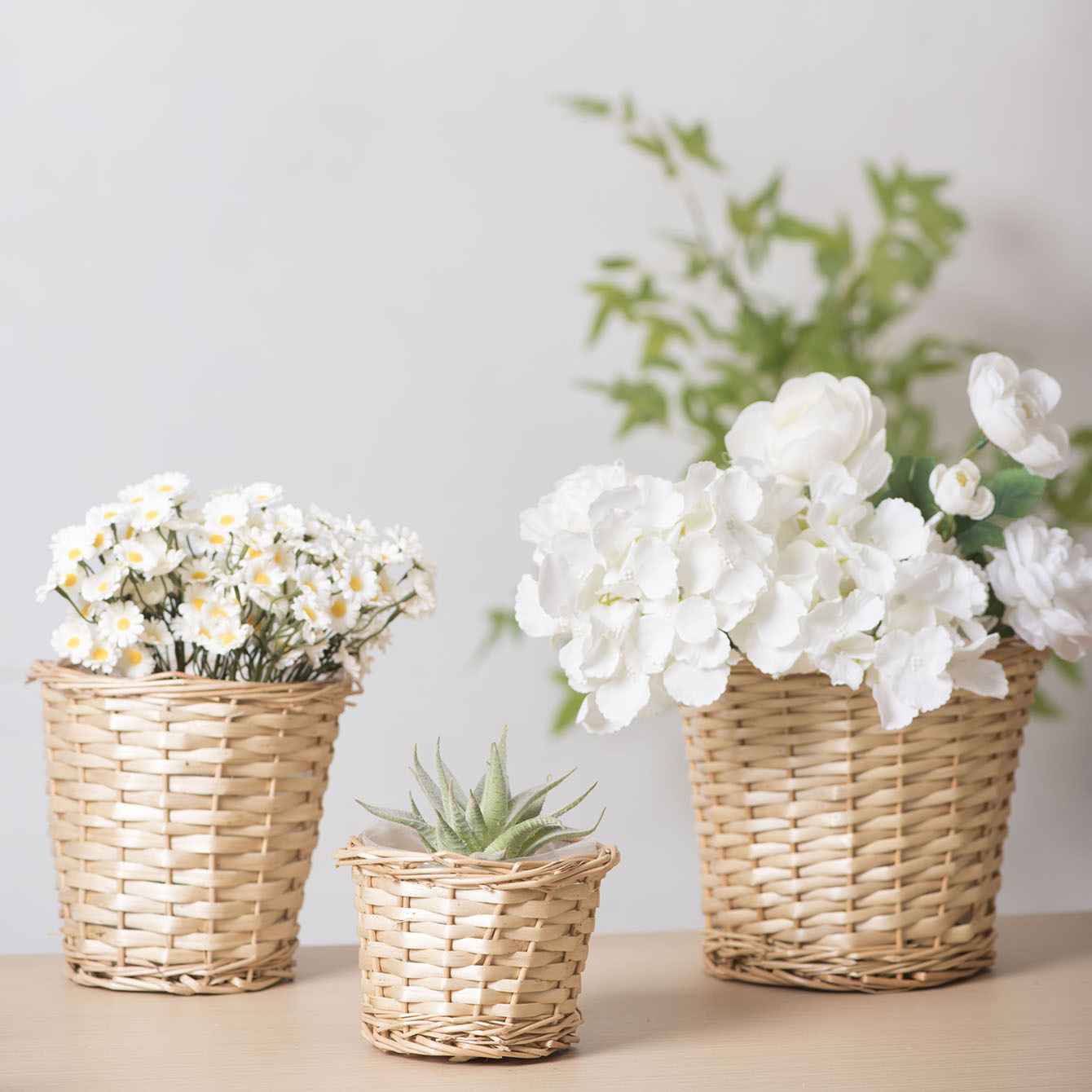 Sauce trenzado maceta de flores secas flores frescas canasta de flores decoración adornos hogares pastílicos sala de estar grasa verde carnosa maceta cubierta